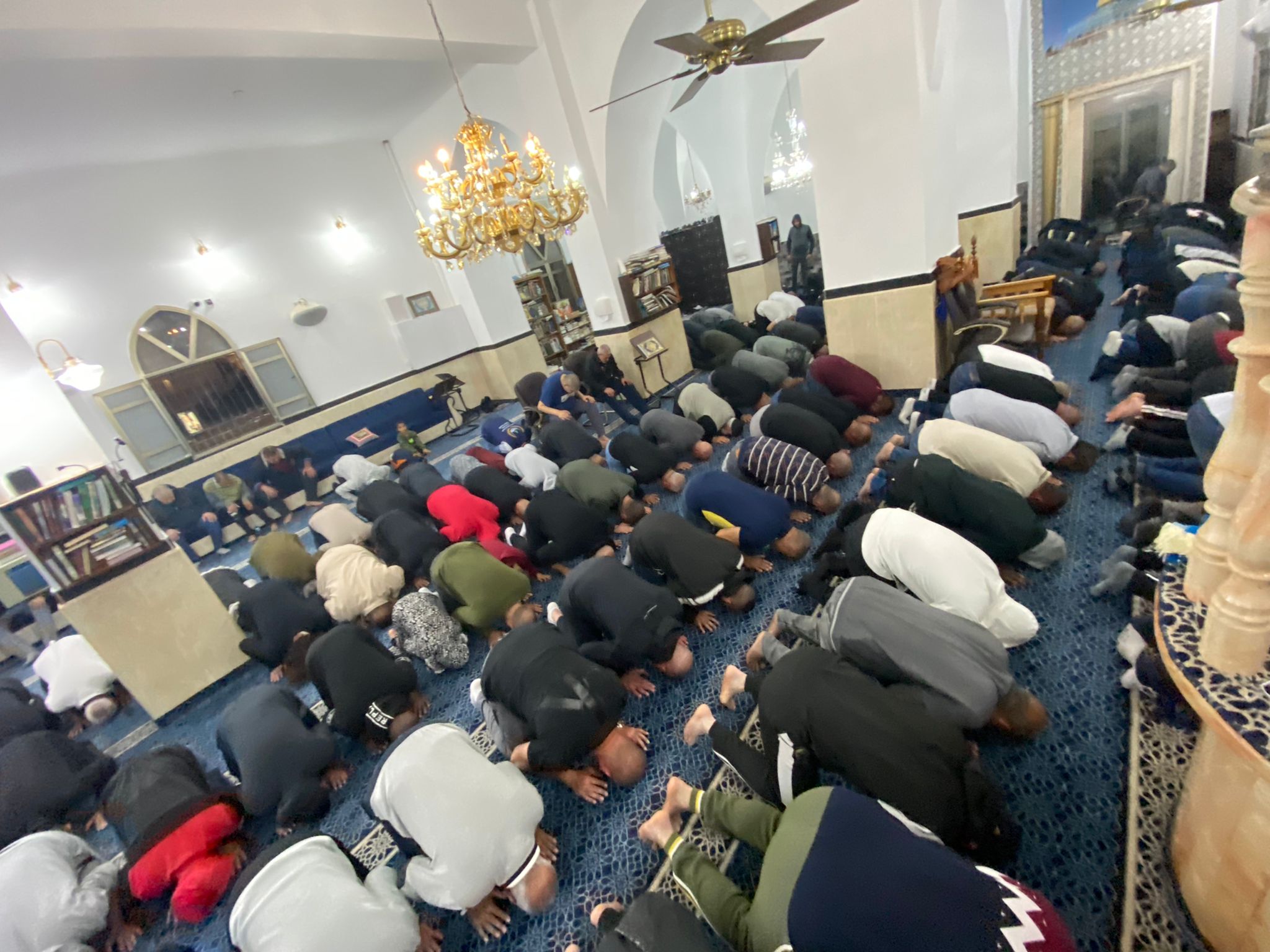 WhatsApp Image 2022-04-03 at 8.54.16 PM.jpeg